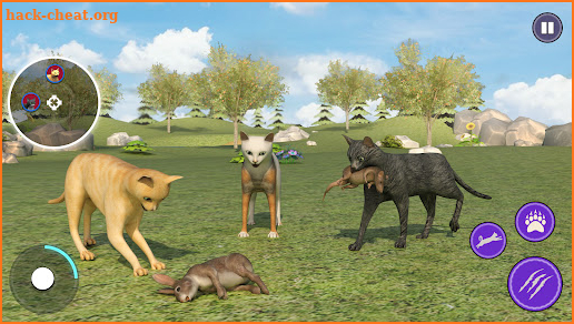 Wild Cat Simulator Cat Games screenshot