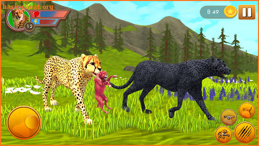 Wild Cheetah Family Simulator Animal Sim Games screenshot