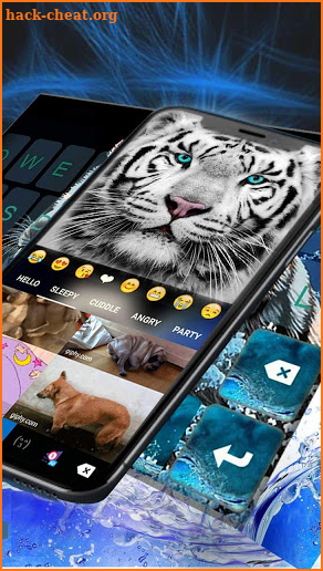 Wild Cheetah Keyboard Theme screenshot