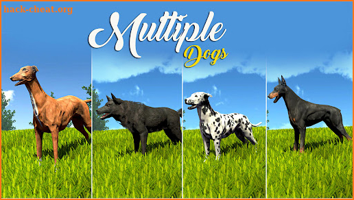 Wild Dog Pet Simulator Games screenshot