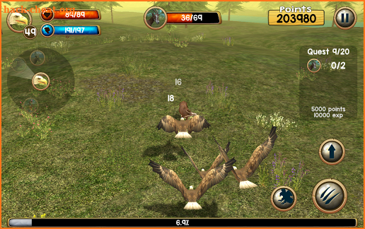 Wild Eagle Sim 3D screenshot