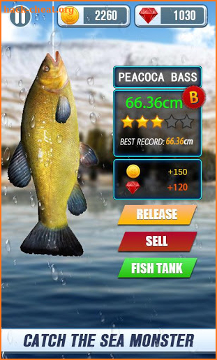 Wild Fishing Clash Survial - Ace Fishing 2019 screenshot