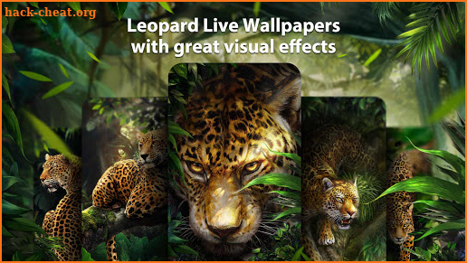 Wild Leopard Live Wallpapers Themes screenshot