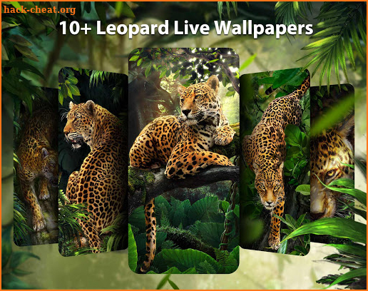 Wild Leopard Live Wallpapers Themes screenshot