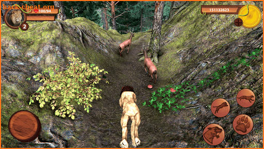 Wild Lion Simulator - Animal Family Survival Game screenshot