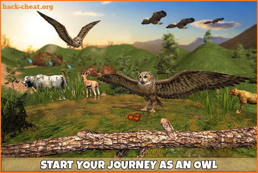 Wild Owl Bird Family Survival screenshot