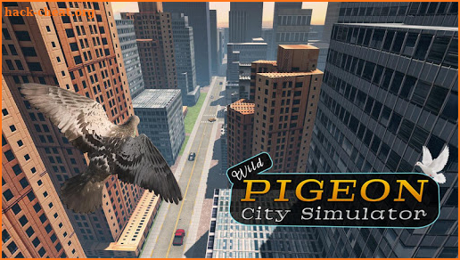 Wild Pigeon Bird City Simulator screenshot