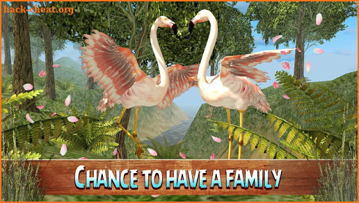 Wild Pink Flamingo Life Simulator screenshot