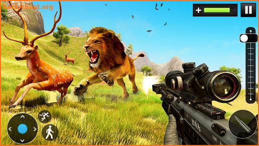 Wild Tiger Hunter- Animal Hunting Games screenshot