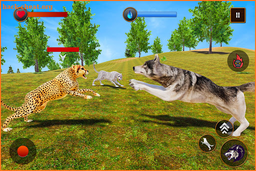 Wild Wolf Simulator: Wolf Life screenshot