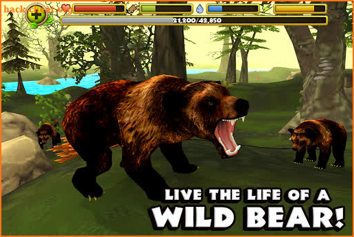 Wildlife Simulator: Bear screenshot