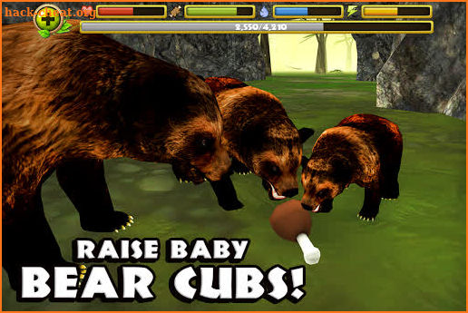 Wildlife Simulator: Bear screenshot