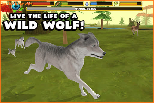 Wildlife Simulator: Wolf screenshot