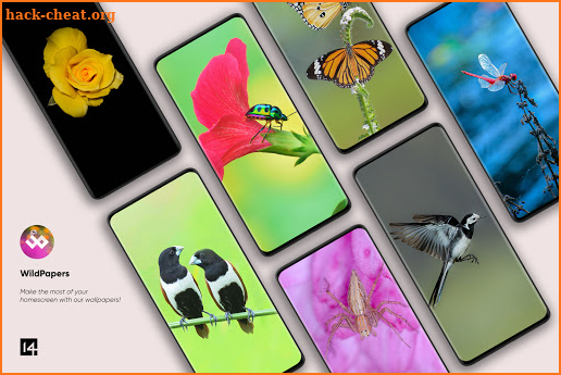 WildPapers - Wildlife Photography Wallpapers screenshot