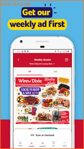 Winn-Dixie screenshot