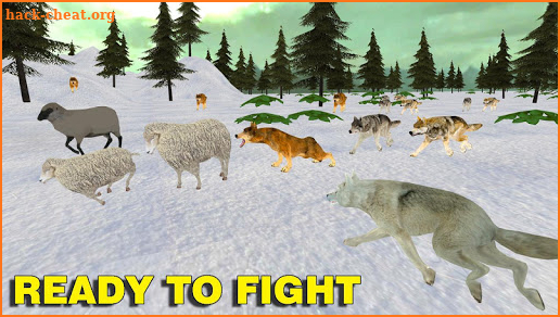 Wolf Family Simulator : RPG Wolf Attack screenshot