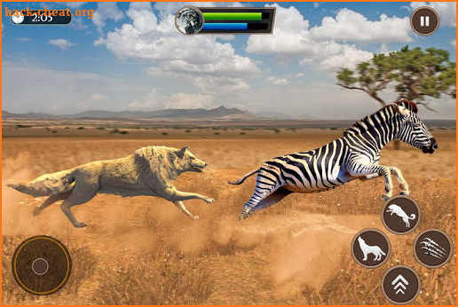 Wolf Simulator 2020: Animal Family Sim Games screenshot