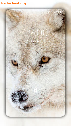 Wolf Wallpaper HD : backgrounds & themes screenshot