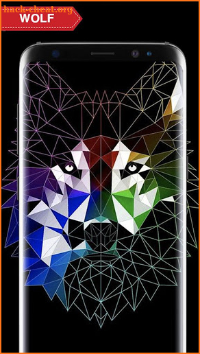 Wolf Wallpaper Live HD screenshot