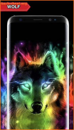 Wolf Wallpaper Live HD screenshot