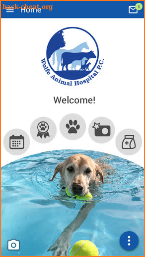 Wolfe Animal Hospital screenshot