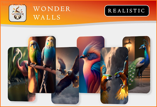 Wonder Walls screenshot