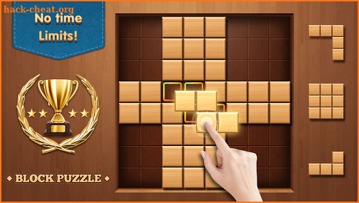 Wood Block Puzzle - Free Classic Brain Puzzle Game screenshot