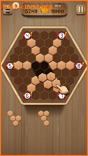 Wooden Hexagon Fit: Hexa Block Puzzle screenshot