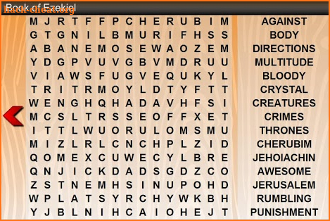 Word Search Bible screenshot