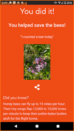 World Bee Count screenshot