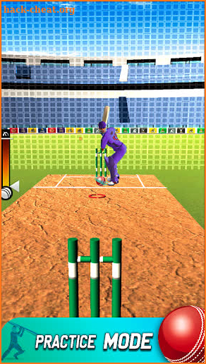 World Cricket T2O Cup Games screenshot