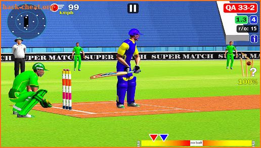 World Cup Cricket Champions 3D screenshot