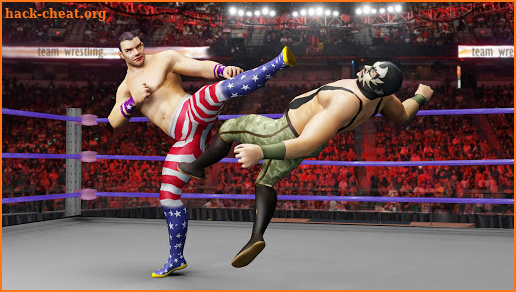 World Tag Team wrestling 2019 screenshot