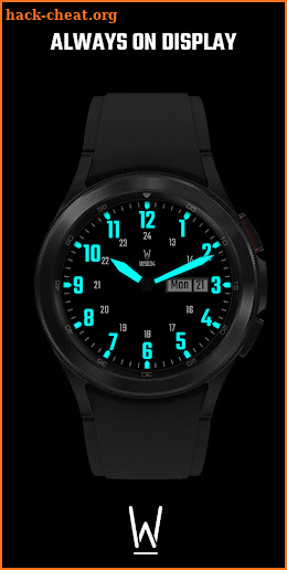 WS034 – FIELD Watch Face screenshot