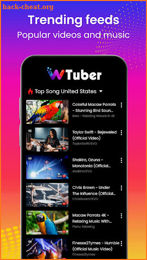 wTuber-Video Player all format screenshot