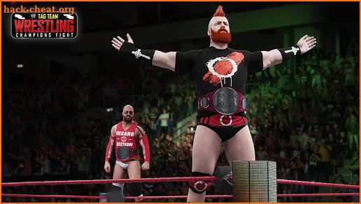 WWE Tag Team Wrestling Champions Fight 2018 screenshot