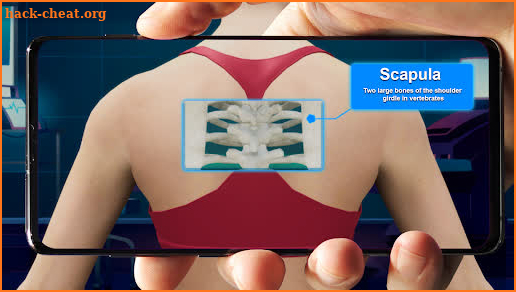 Xray Body Scanner- Mobile Game screenshot