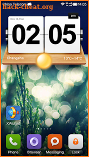 XWidget screenshot