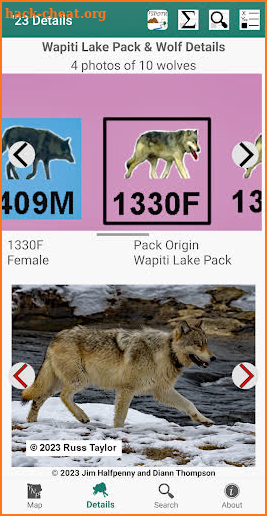 Yellowstone Wolves 2023 screenshot