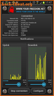 Your Freedom VPN Client screenshot
