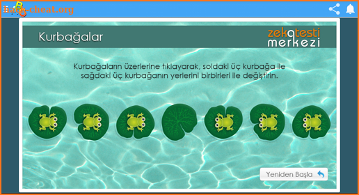 zeka oyunları screenshot