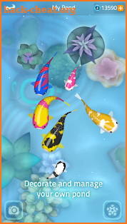 Zen Koi 2 screenshot