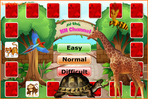 Zoo Cards KN Channel screenshot