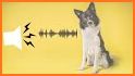 Stop Dog Barking Sounds: Anti Dog Bark Whistle related image