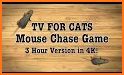 Games for Cats! - Cat Fishing Mouse Chase Cat Game related image