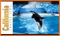 SeaWorld Discovery Guide related image