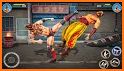 Karate Kung Fu Fighter: Offline Fighting Games related image