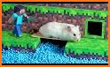 Unblock Hammy the Hamster - Puzzle Game related image