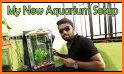 Fish World video of ornamental fish related image