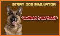 Domestic Dog Simulator: stray dog games related image